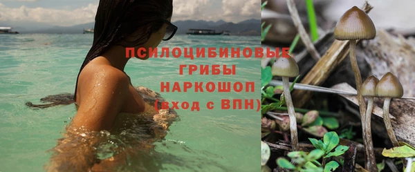 амф Алексеевка