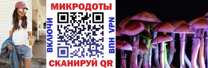Псилоцибиновые грибы мицелий  площадка какой сайт  Суджа 
