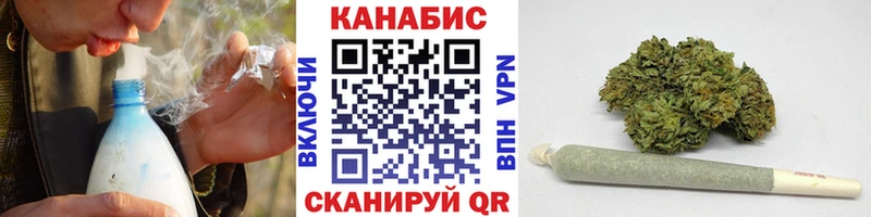 Каннабис семена  Суджа 